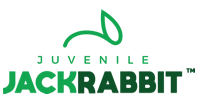 Juvenile Jackrabbit